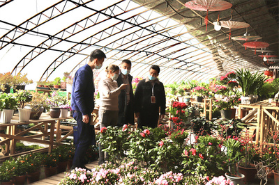 年前督查不放松，嚴(yán)把禮品花卉銷售規(guī)范關(guān)