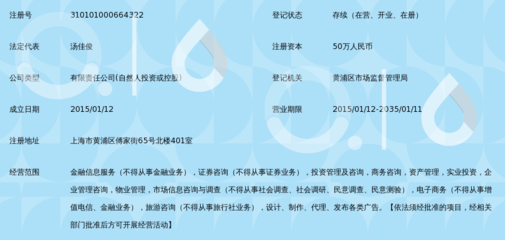 上海宣懿金融信息服務(wù)深度解析 專業(yè)金融信息咨詢的價(jià)值與實(shí)踐